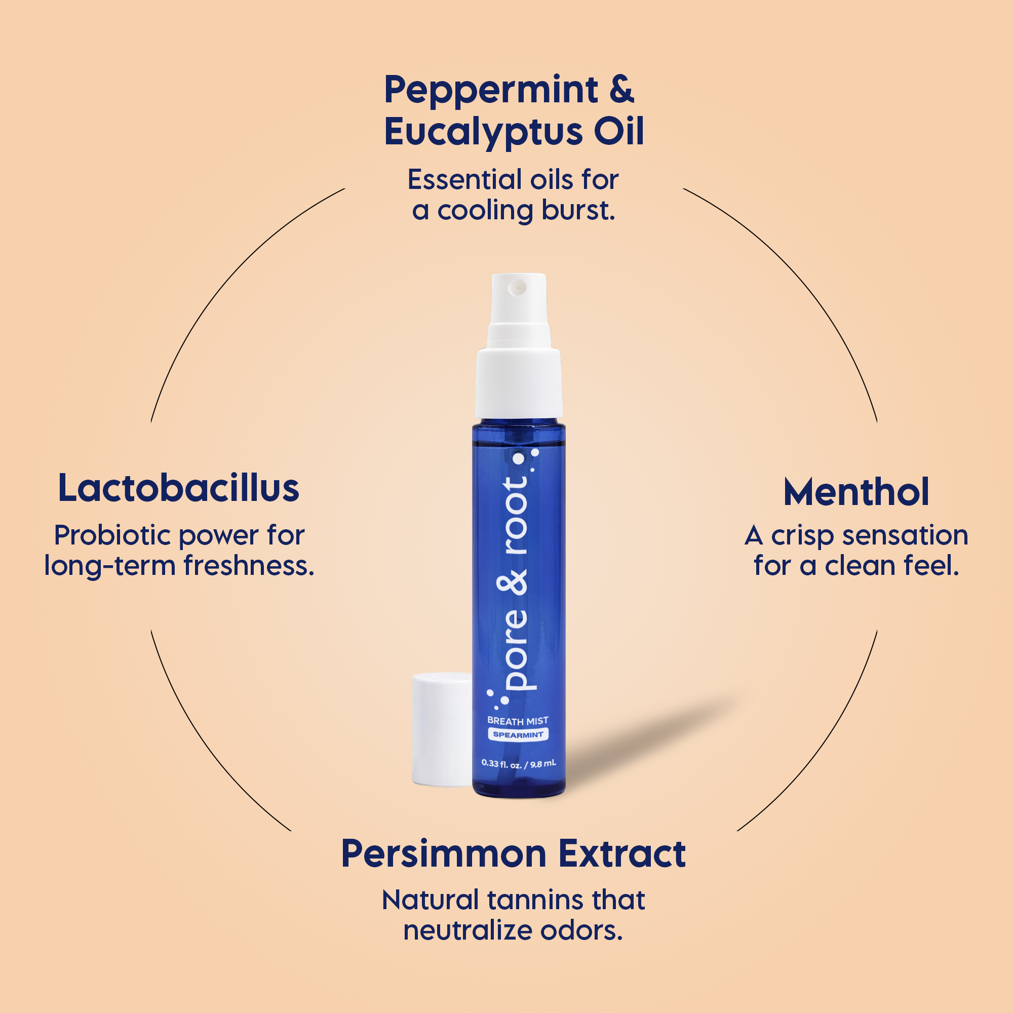 Persimmon Spearmint Breath Spray with Probiotics (4-pack)