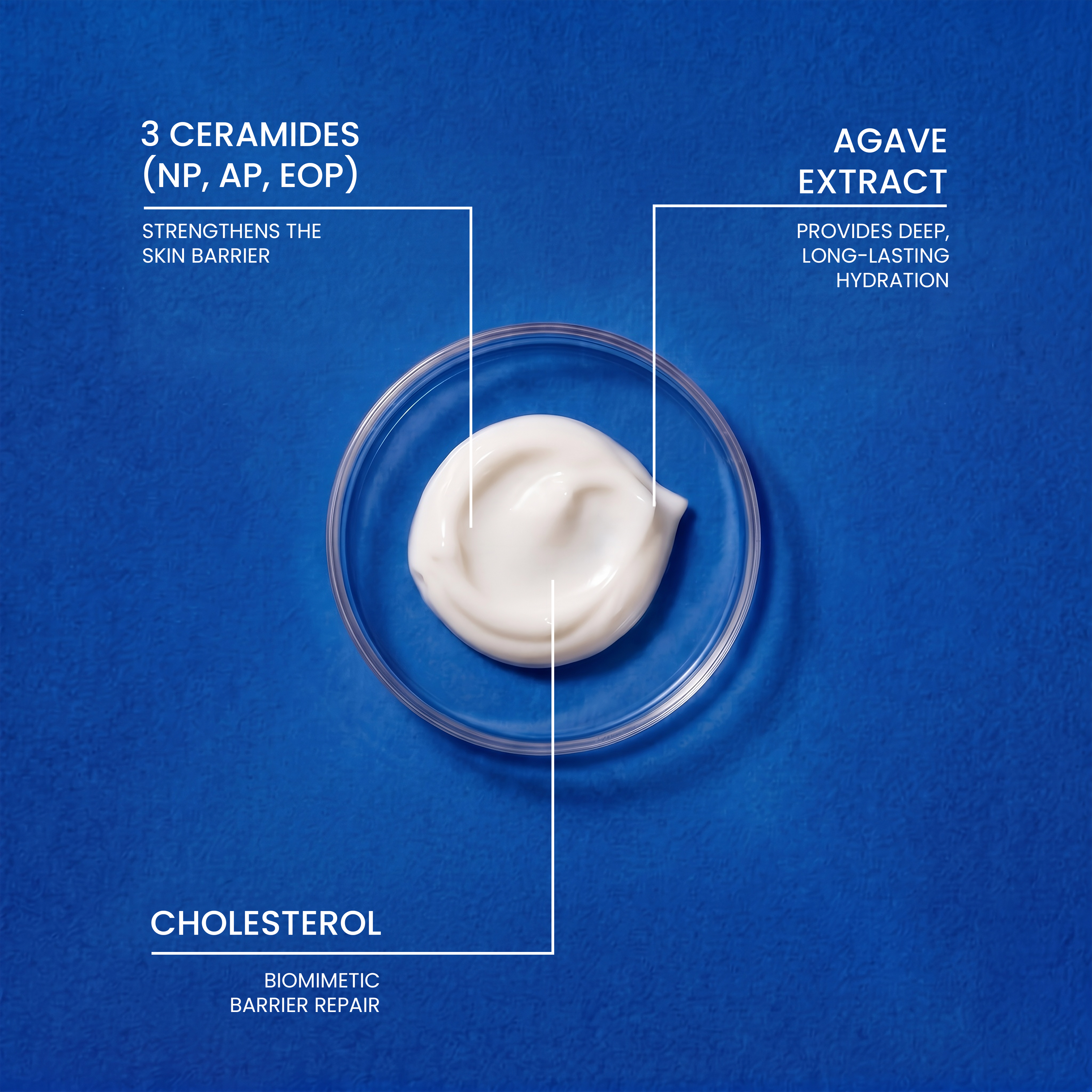 The Advanced Barrier Repair Cream